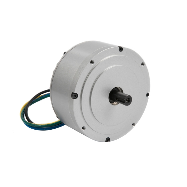 48v Brushless Dc Motor 