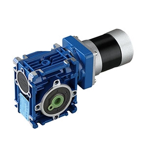 Bldc worm gear motor